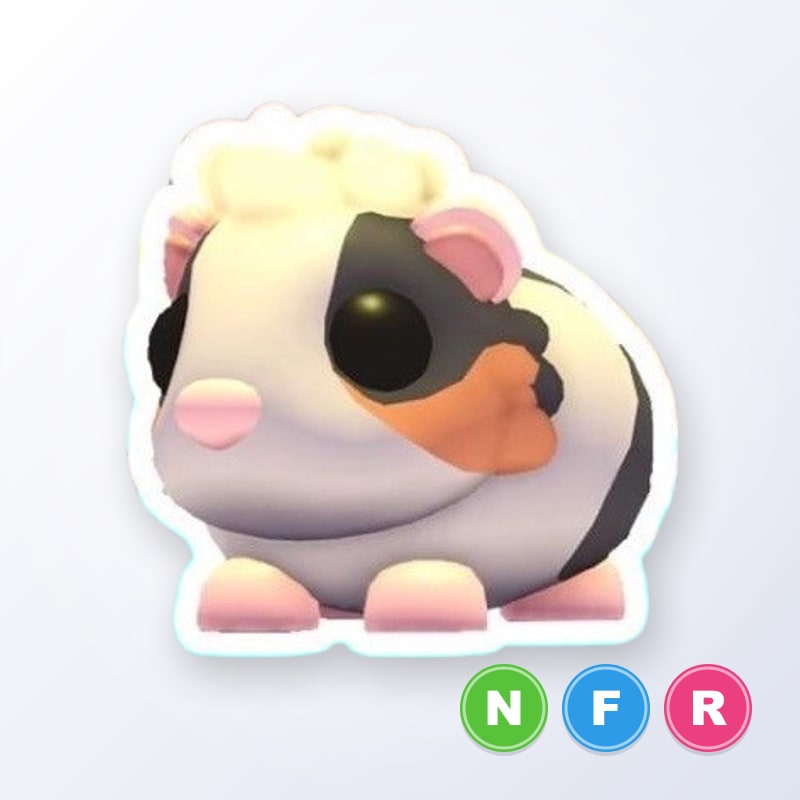 Tortoiseshell Guinea Pig NFR | Adopt Me