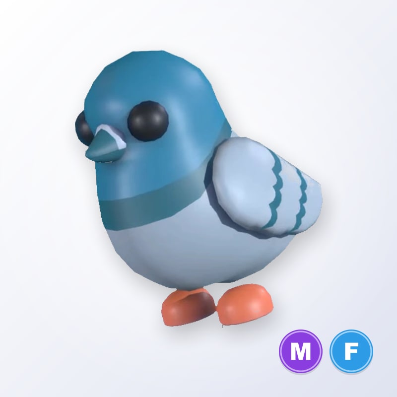 Rock Pigeon MF | Adopt Me