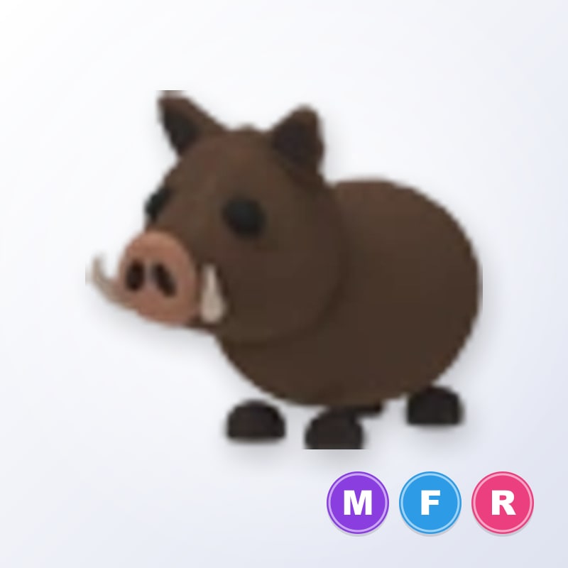 Wild Boar MFR | Adopt Me