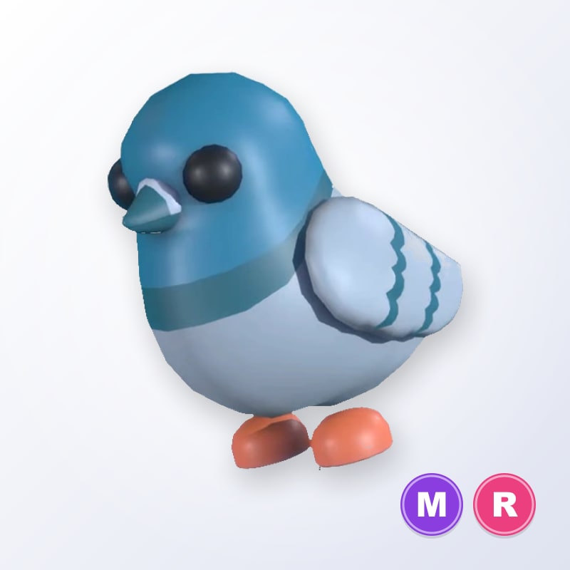 Rock Pigeon MR | Adopt Me