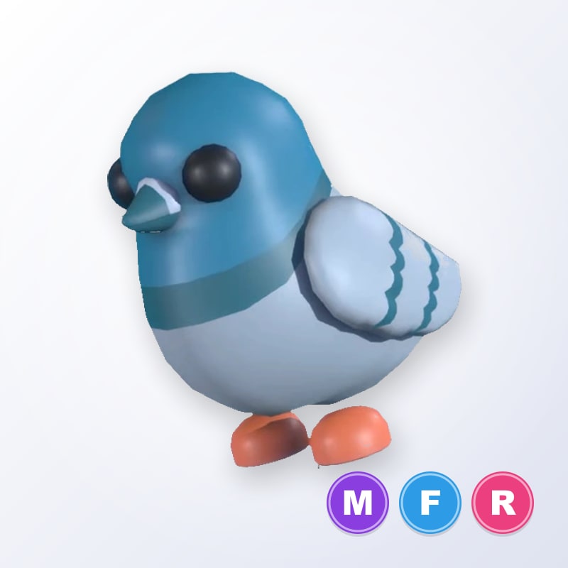 Rock Pigeon MFR | Adopt Me
