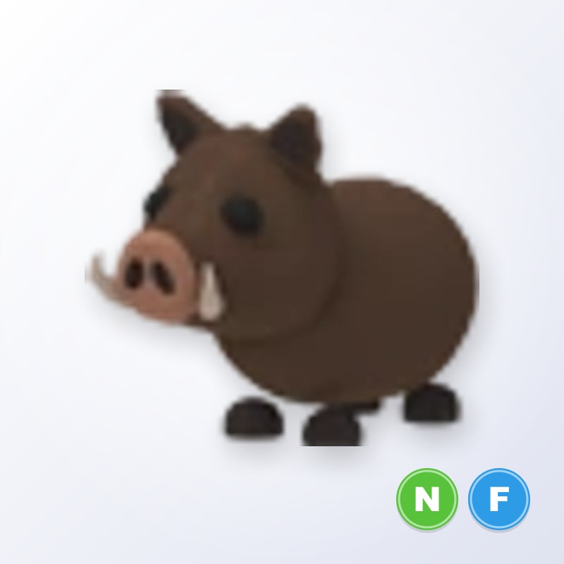 Wild Boar NF | Adopt Me