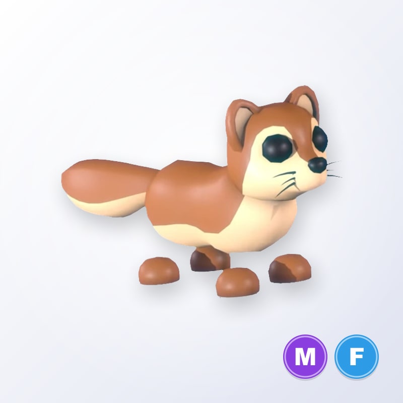 Mongoose MF | Adopt Me