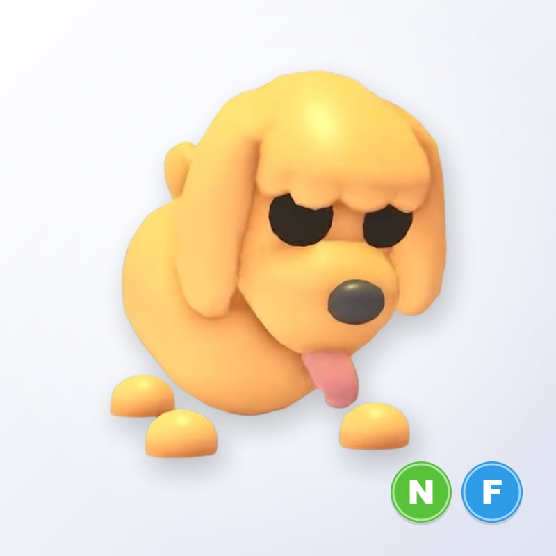 Toy Poodle NF | Adopt Me