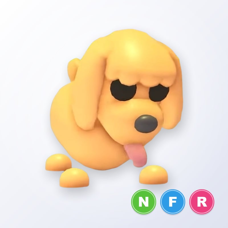 Toy Poodle NFR | Adopt Me