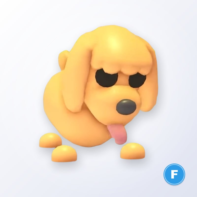 Toy Poodle F | Adopt Me