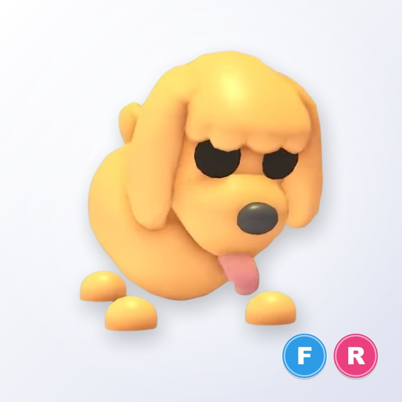 Toy Poodle FR | Adopt Me