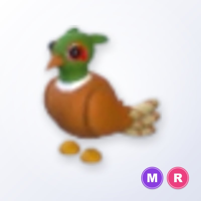 Brown-chested Pheasant MR | Adopt Me