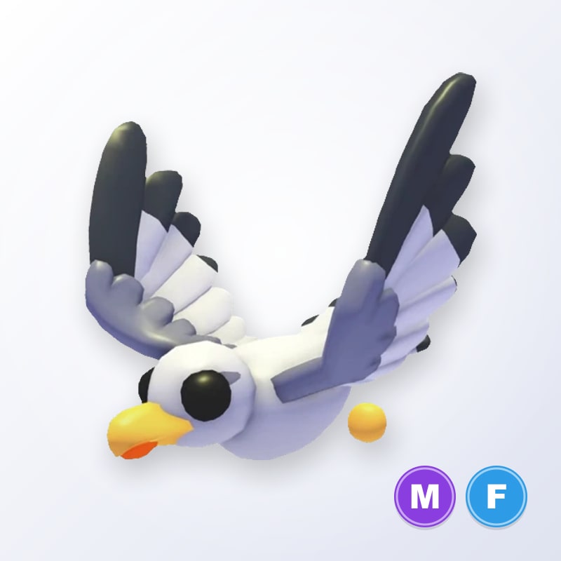 Seagull MF | Adopt Me