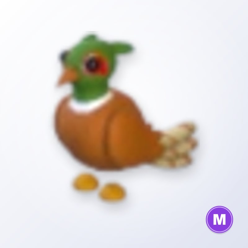 Brown-chested Pheasant M | Adopt Me
