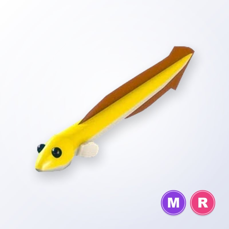 Eel MR | Adopt Me
