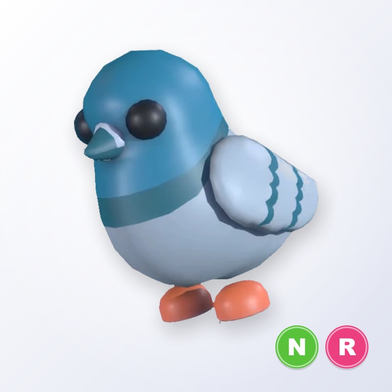 Rock Pigeon NR | Adopt Me