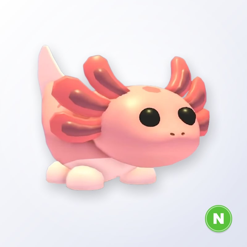 Axolotl N | Adopt Me