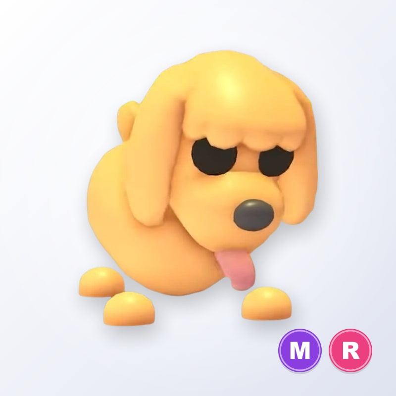 Toy Poodle MR | Adopt Me