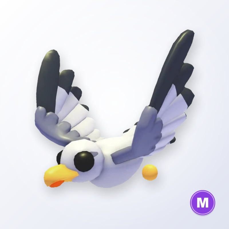 Seagull M | Adopt Me