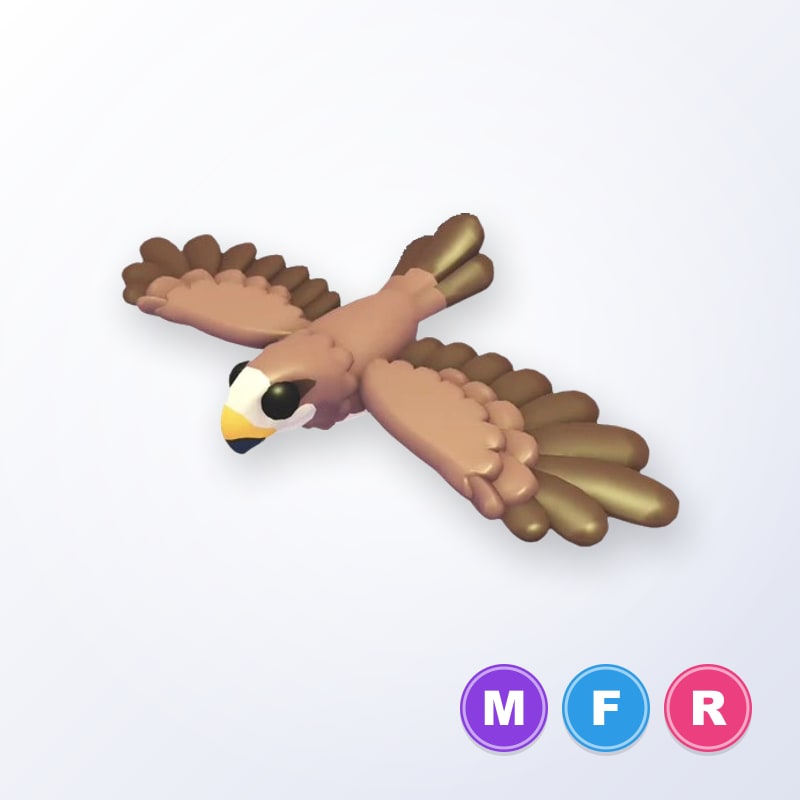 Black Kite MFR | Adopt Me