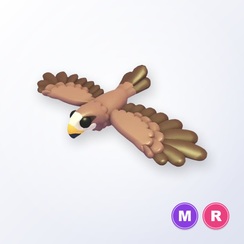 Black Kite MR | Adopt Me