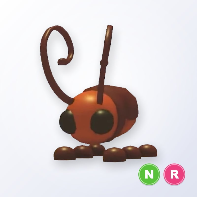 Cockroach NR | Adopt Me