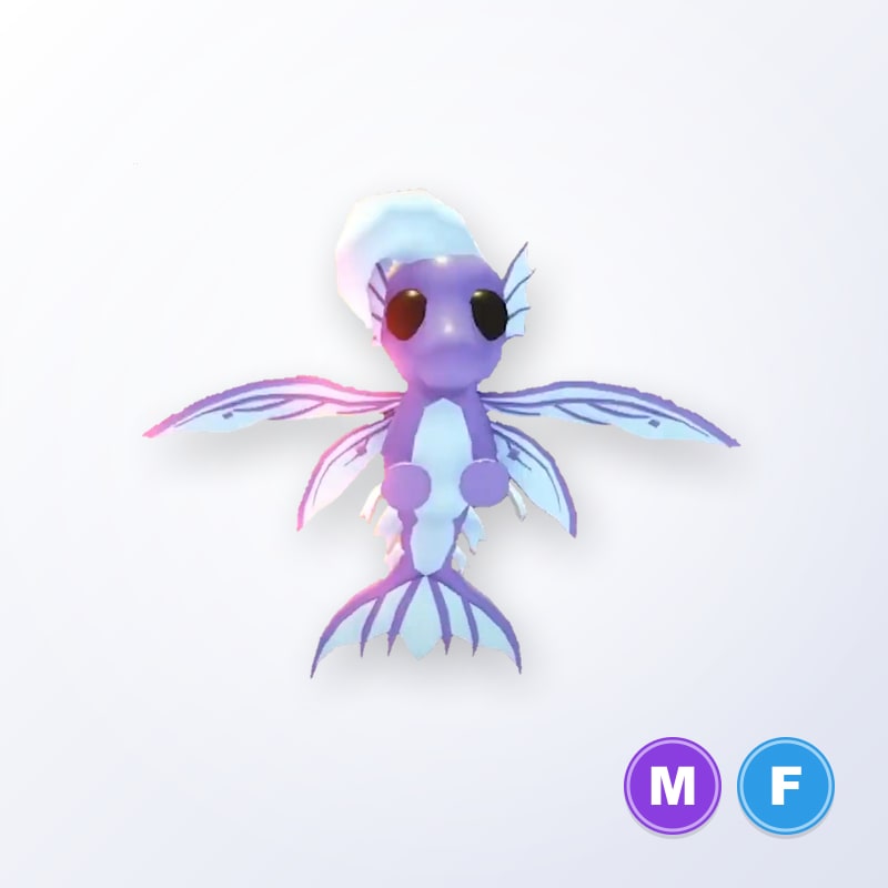 Merhorse MF | Adopt Me
