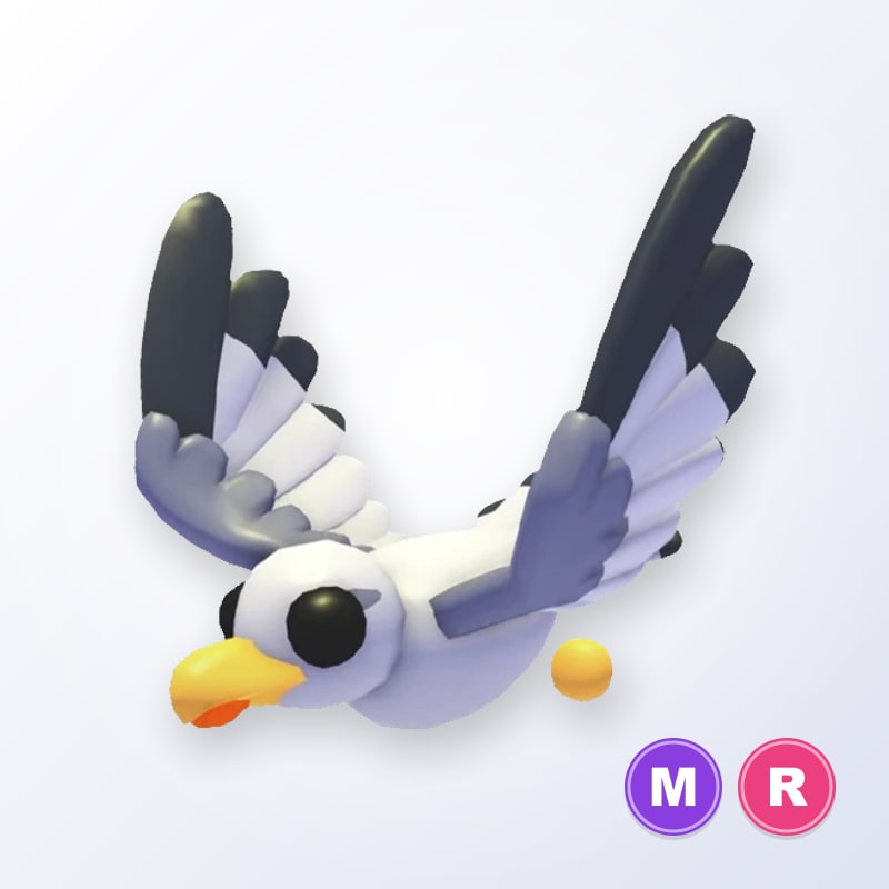 Seagull MR | Adopt Me