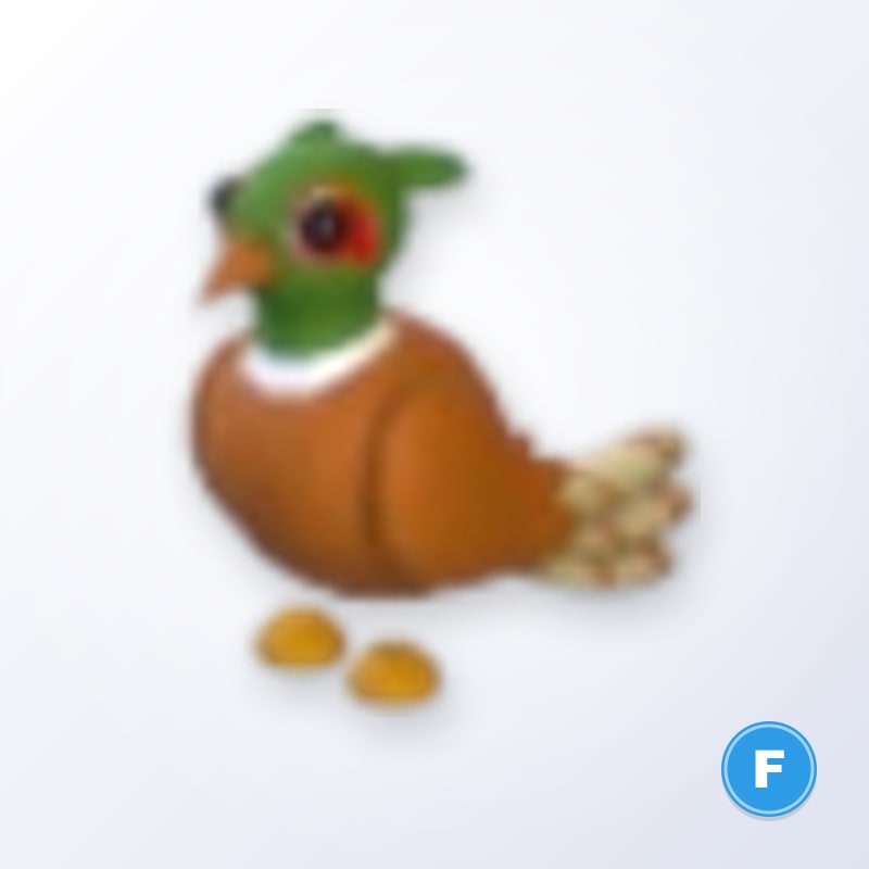 Brown-chested Pheasant F | Adopt Me
