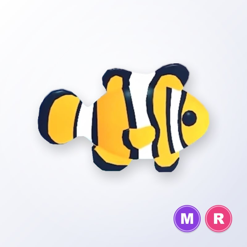 Clownfish MR | Adopt Me