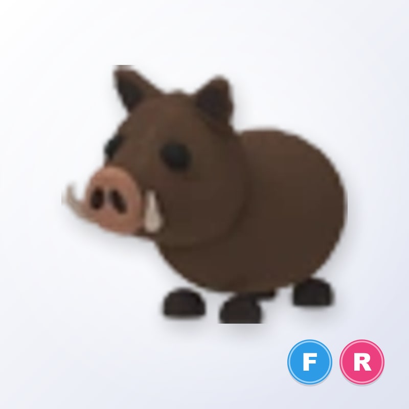 Wild Boar FR | Adopt Me