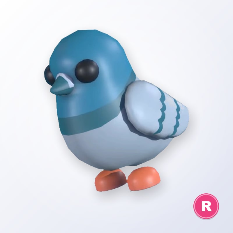Rock Pigeon R | Adopt Me