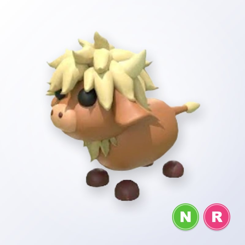 Highland Cow NR | Adopt Me