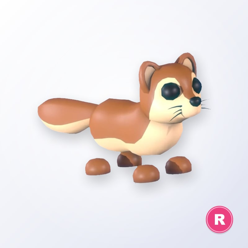 Mongoose R | Adopt Me