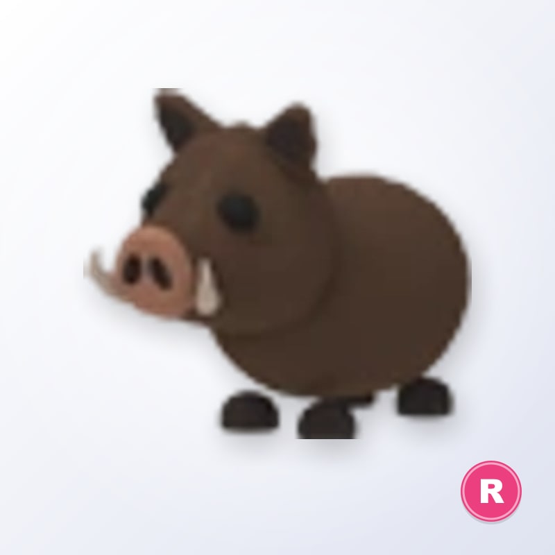 Wild Boar R | Adopt Me