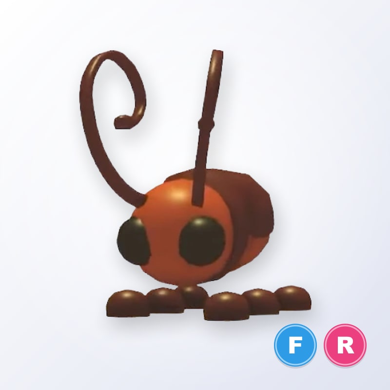 Cockroach FR | Adopt Me