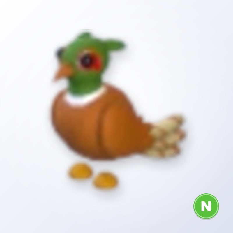 Brown-chested Pheasant N | Adopt Me