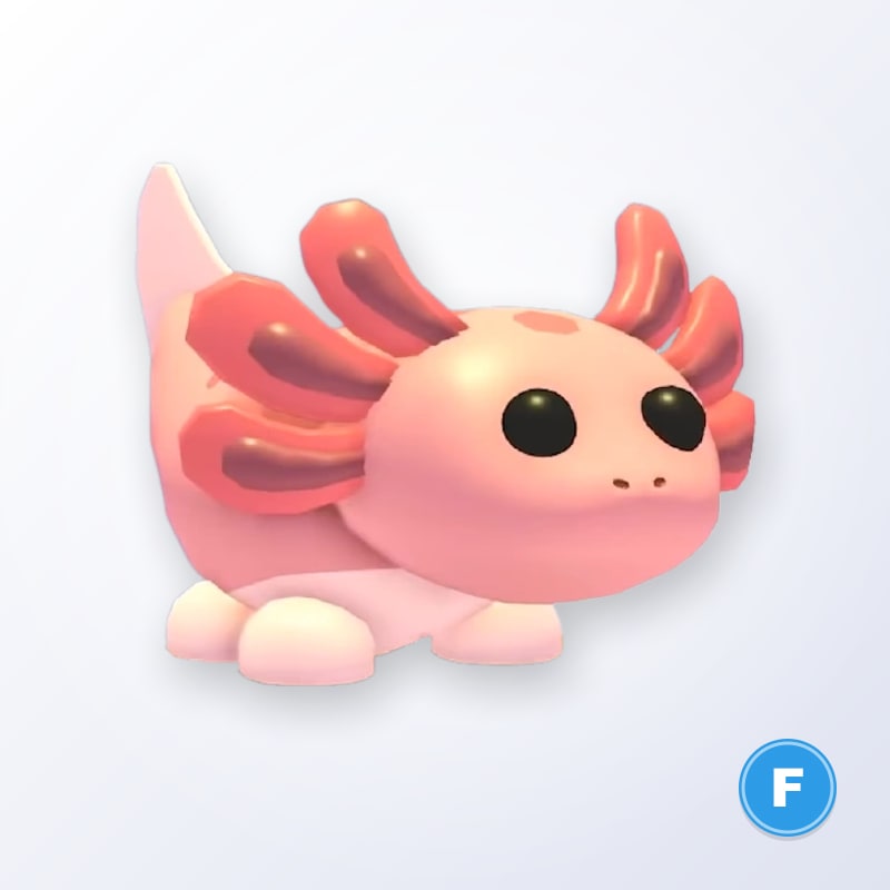 Axolotl F | Adopt Me