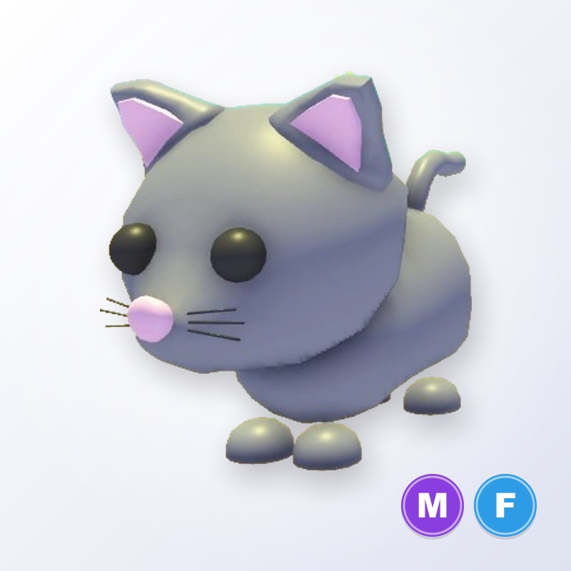 Cat MF | Adopt Me