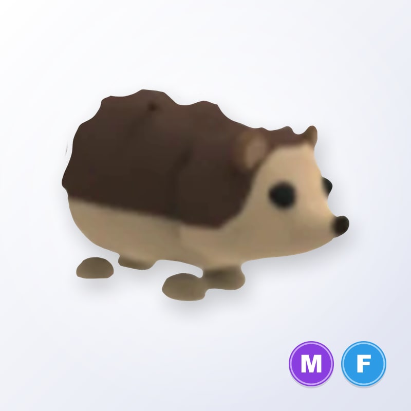 Hedgehog MF | Adopt Me