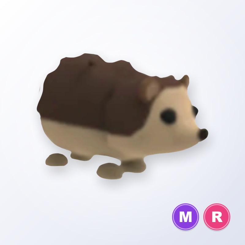 Hedgehog MR | Adopt Me