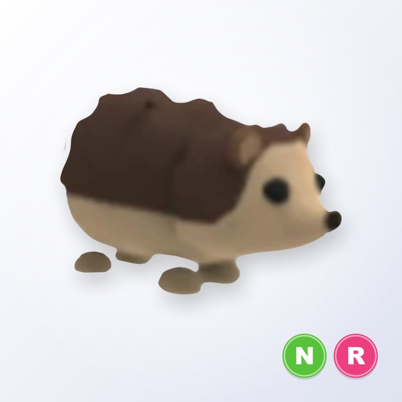 Hedgehog NR | Adopt Me