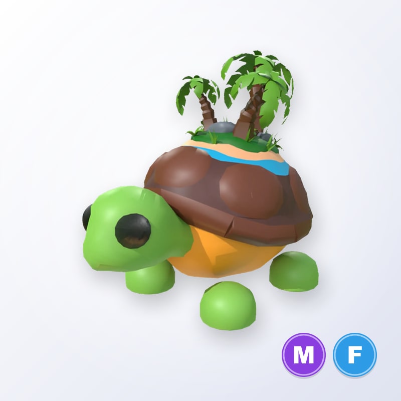 Tortuga De La Isla MF | Adopt Me