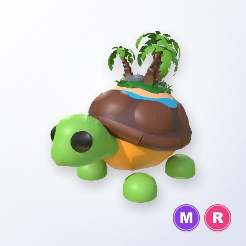 Tortuga De La Isla MR | Adopt Me