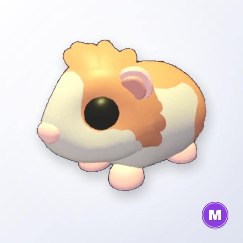 Red Dutch Guinea Pig M | Adopt Me