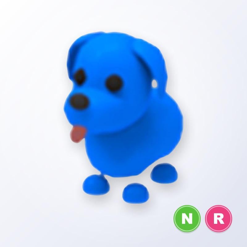 Blue Dog NR | Adopt Me