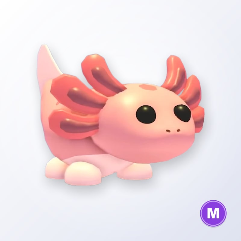 Axolotl M | Adopt Me