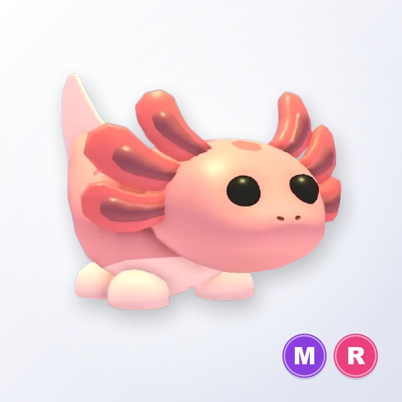 Axolotl MR | Adopt Me