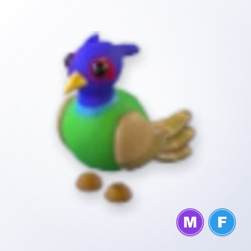 Green-chested Pheasant MF | Adopt Me