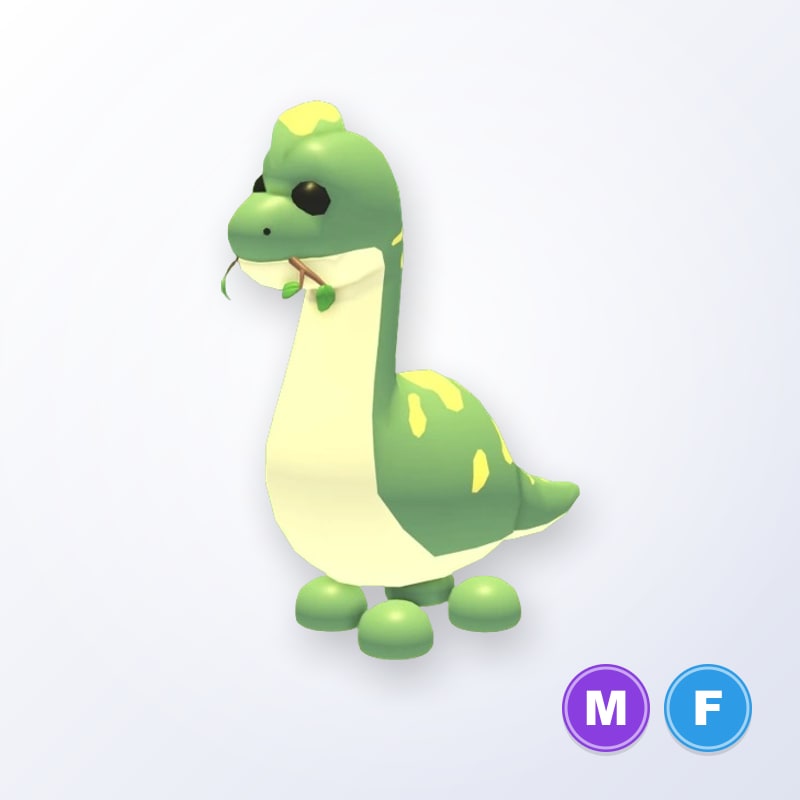 Brachiosaurus MF | Adopt Me