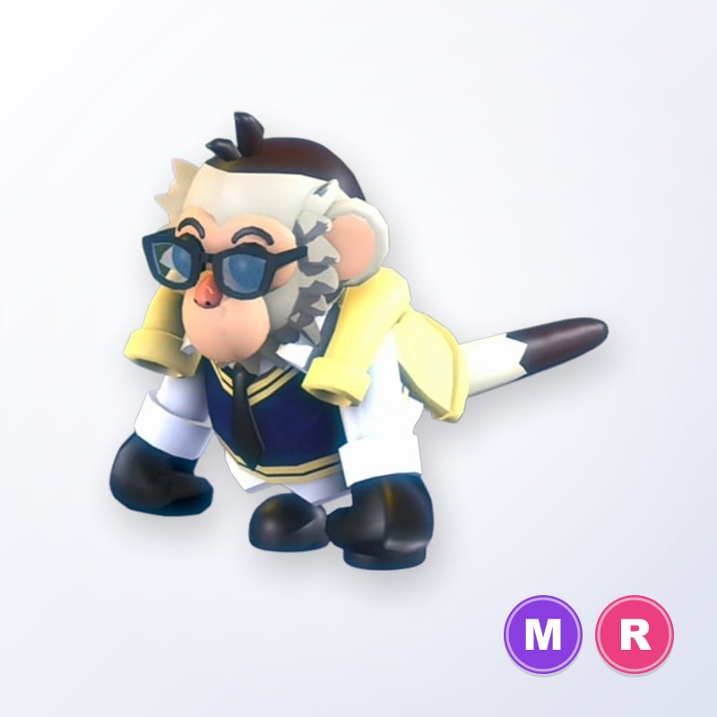 Preppy Capuchin Monkey MR | Adopt Me