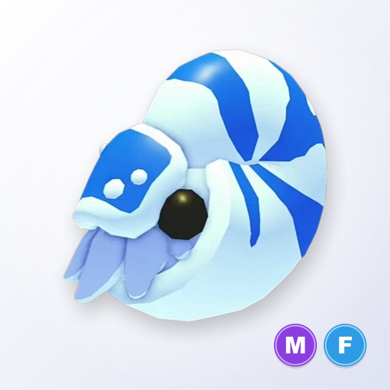 Nautilus MF | Adopt Me