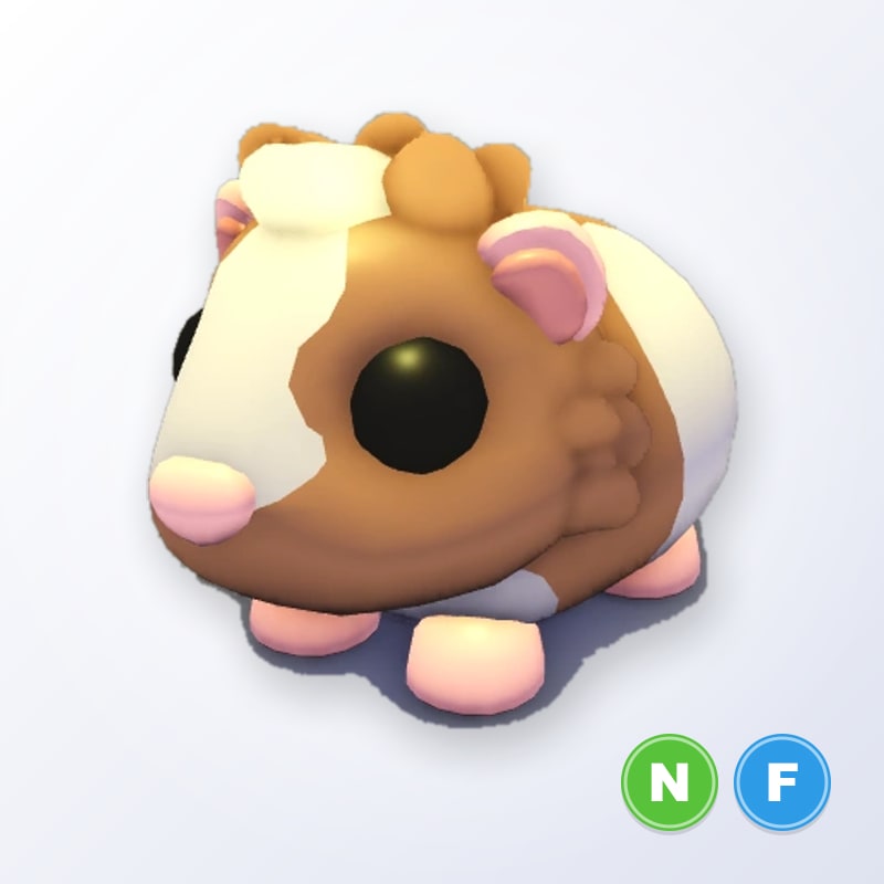 Chocolate Dutch Guinea Pig NF | Adopt Me