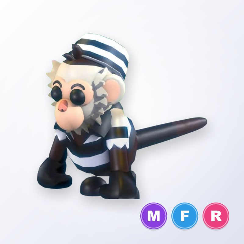 Inmate Capuchin Monkey MFR | Adopt Me